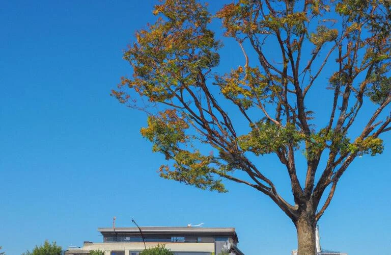 座間市で公園近くの新しい生活を始めよう！